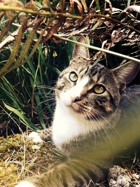 Entry image for Wyatt. Clicking this image will show a larger photo