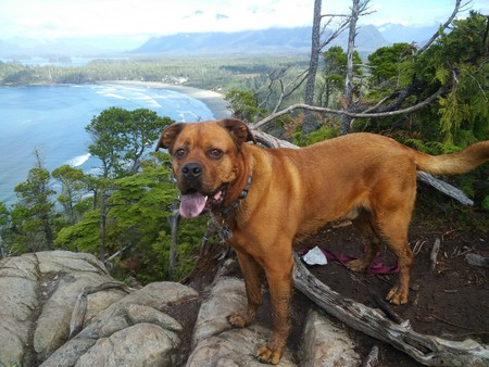 Entry image for Stetson. Clicking this image will show a larger photo