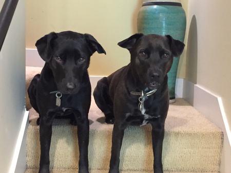 Entry image for Ella and Wynton. Clicking this image will show a larger photo