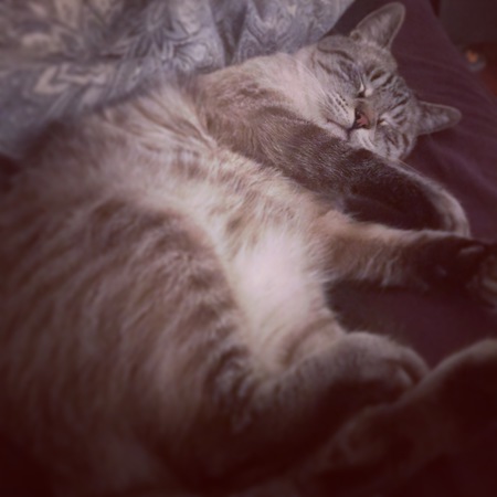 Entry image for Dorian. Clicking this image will show a larger photo