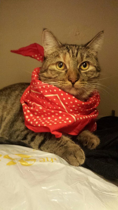 Entry image for Riley Rose. Clicking this image will show a larger photo