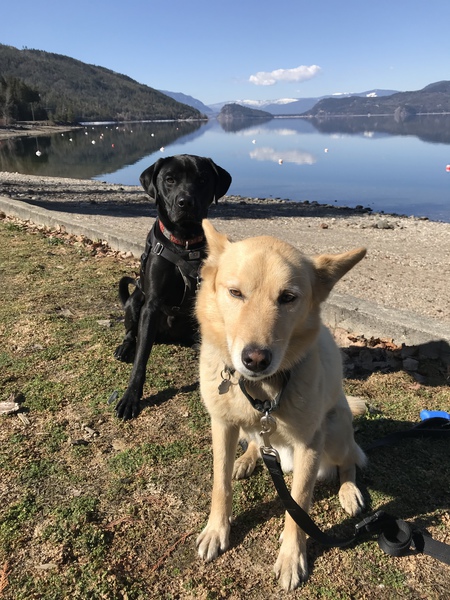 Entry image for Adam and Charlie. Clicking this image will show a larger photo