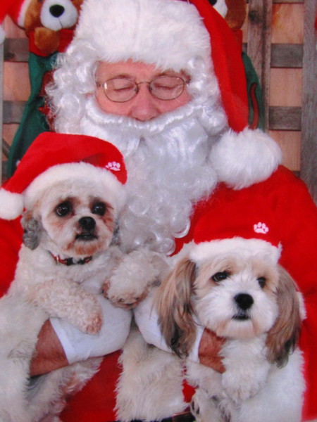 Entry image for Charley and Miya. Clicking this image will show a larger photo