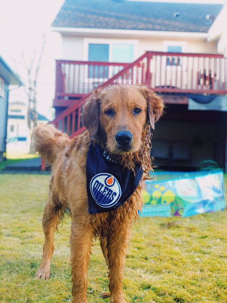 Entry image for Easton. Clicking this image will show a larger photo