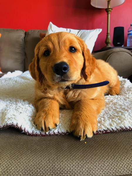 Entry image for Easton. Clicking this image will show a larger photo