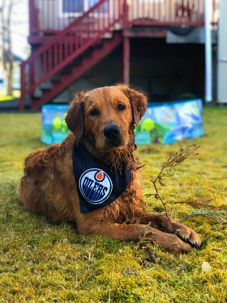 Entry image for Easton. Clicking this image will show a larger photo