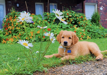 Entry image for Easton. Clicking this image will show a larger photo