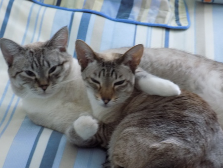 Entry image for Samantha. Clicking this image will show a larger photo