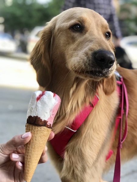 Entry image for Devon. Clicking this image will show a larger photo