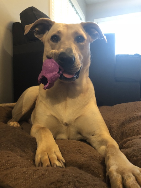 Entry image for Tuukka. Clicking this image will show a larger photo