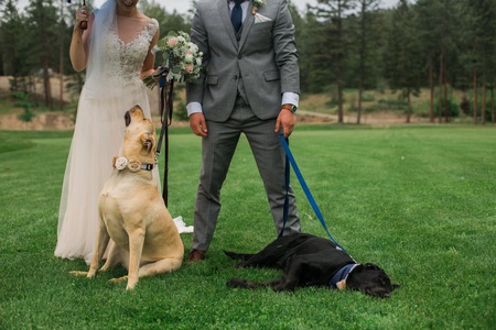 Entry image for Tuukka and Luda. Clicking this image will show a larger photo