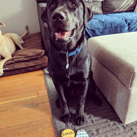 Entry image for Luda. Clicking this image will show a larger photo