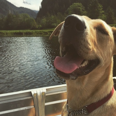 Entry image for Tuukka. Clicking this image will show a larger photo