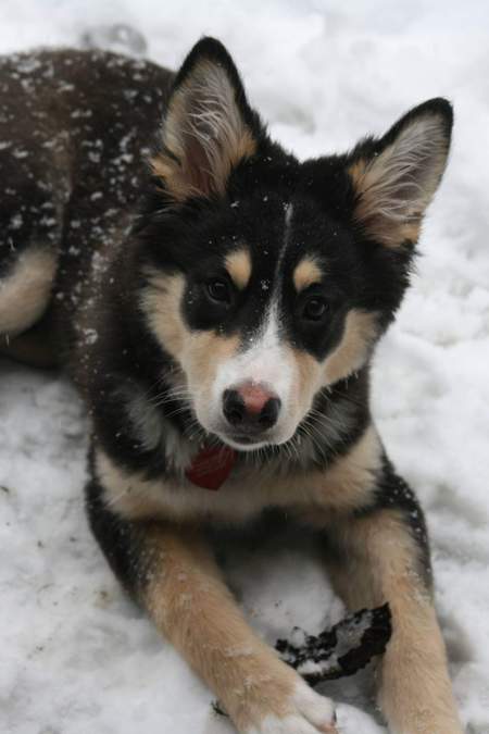 Entry image for Haley. Clicking this image will show a larger photo