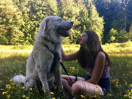 Entry image for Strider . Clicking this image will show a larger photo