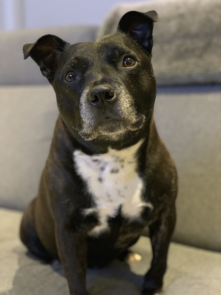 Entry image for Madden. Clicking this image will show a larger photo