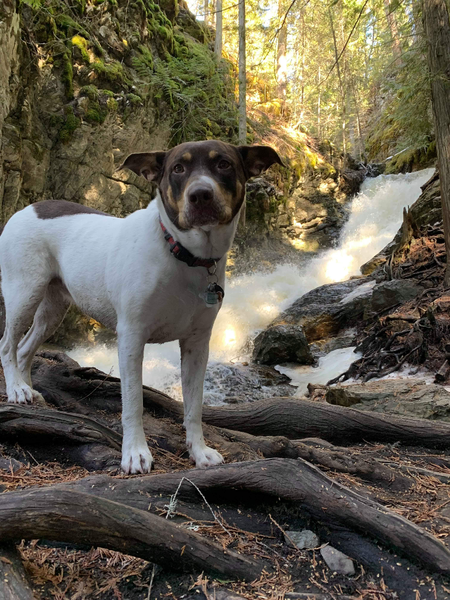 Entry image for Lux. Clicking this image will show a larger photo