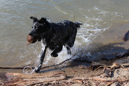 Entry image for Wyatt. Clicking this image will show a larger photo