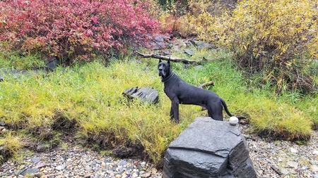 Entry image for Duke. Clicking this image will show a larger photo