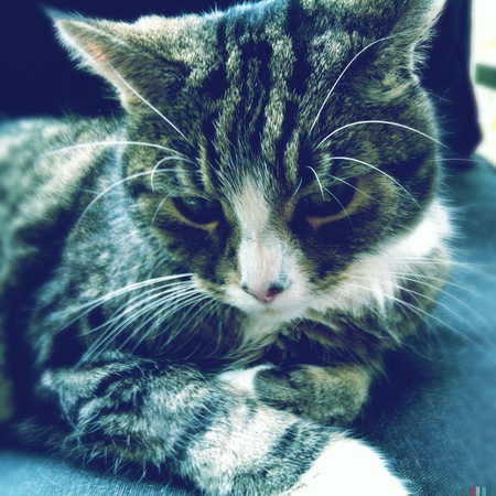 Entry image for Carter. Clicking this image will show a larger photo