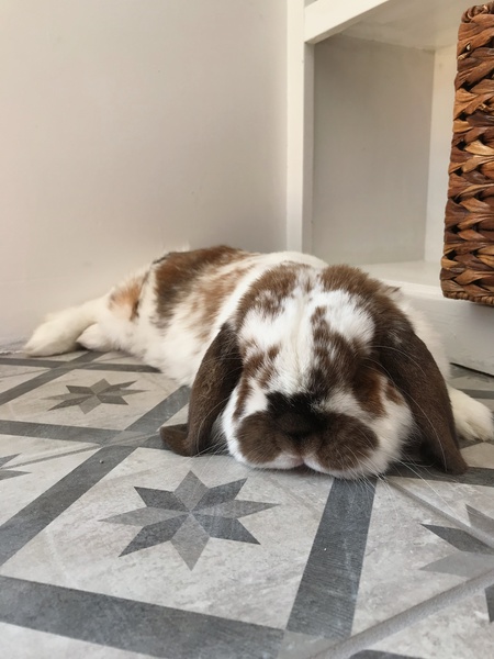 Entry image for Nut. Clicking this image will show a larger photo