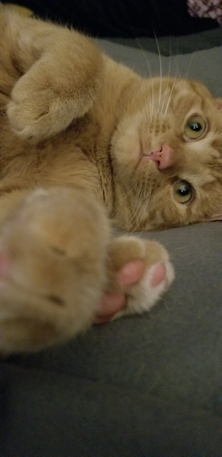 Entry image for Andy. Clicking this image will show a larger photo