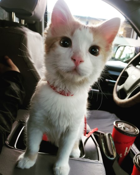 Entry image for Fergus Bean. Clicking this image will show a larger photo