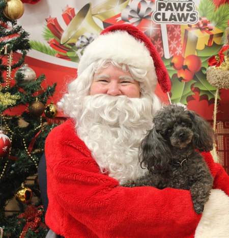 Entry image for Pepper. Clicking this image will show a larger photo