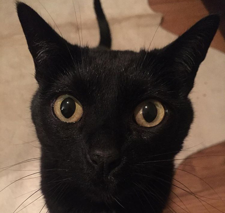 Entry image for Mykneeout . Clicking this image will show a larger photo