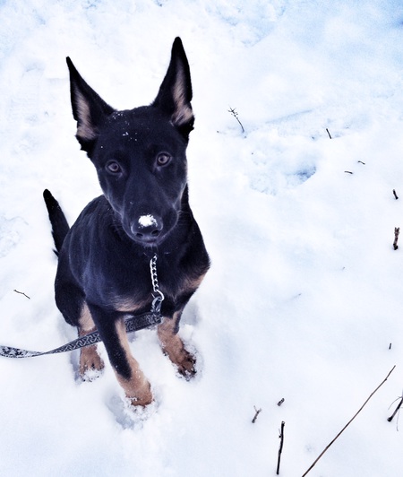 Entry image for Teague. Clicking this image will show a larger photo