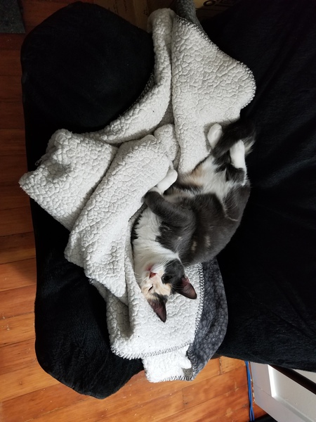 Entry image for Yuki. Clicking this image will show a larger photo