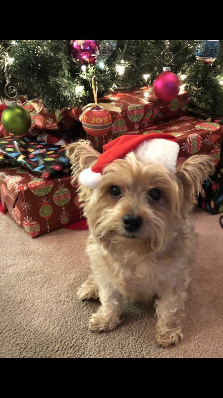 Entry image for Max. Clicking this image will show a larger photo