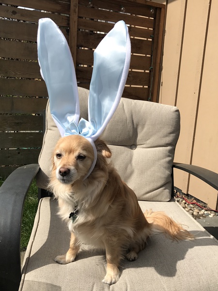 Entry image for Oakley. Clicking this image will show a larger photo