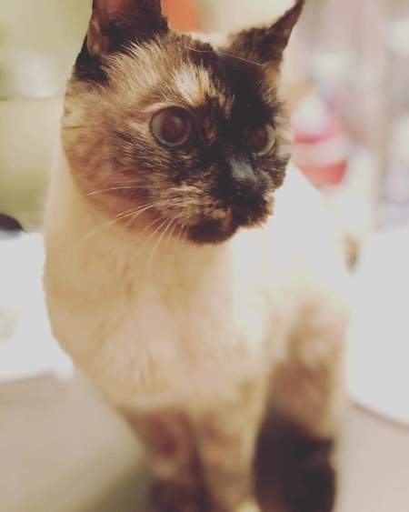 Entry image for Jilly. Clicking this image will show a larger photo