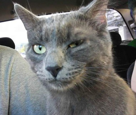 Entry image for Whiskey Timbit Foxtrot. Clicking this image will show a larger photo