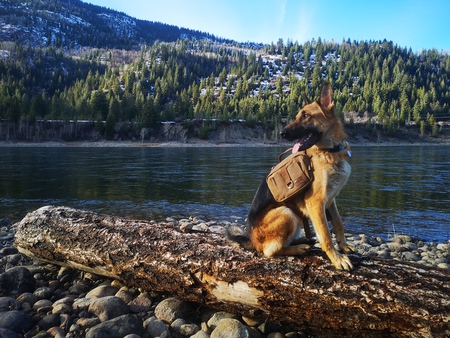 Entry image for Rigsby. Clicking this image will show a larger photo