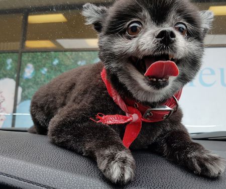 Entry image for MIA. Clicking this image will show a larger photo