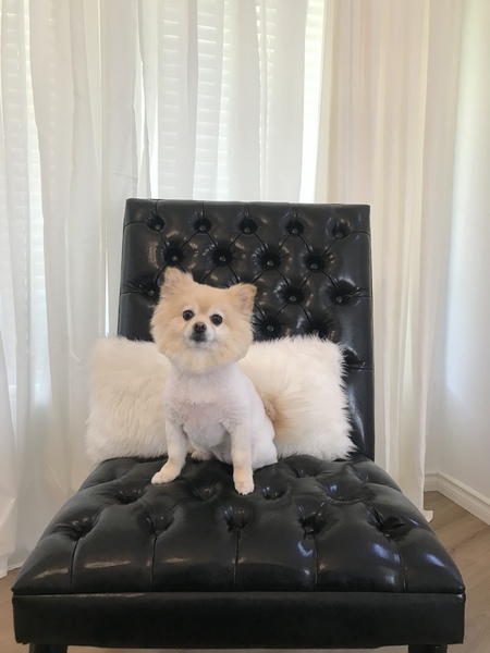 Entry image for Chanel. Clicking this image will show a larger photo