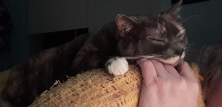 Entry image for Ena. Clicking this image will show a larger photo