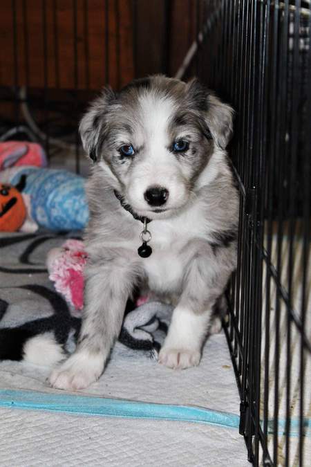 Entry image for Marty. Clicking this image will show a larger photo