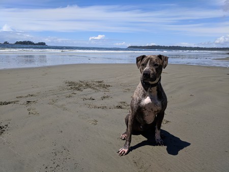 Entry image for Seymour. Clicking this image will show a larger photo