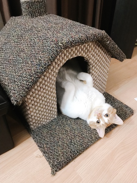 Entry image for Dave. Clicking this image will show a larger photo