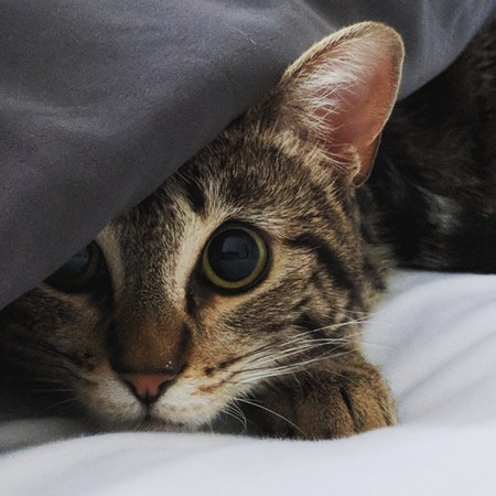 Entry image for Camila. Clicking this image will show a larger photo