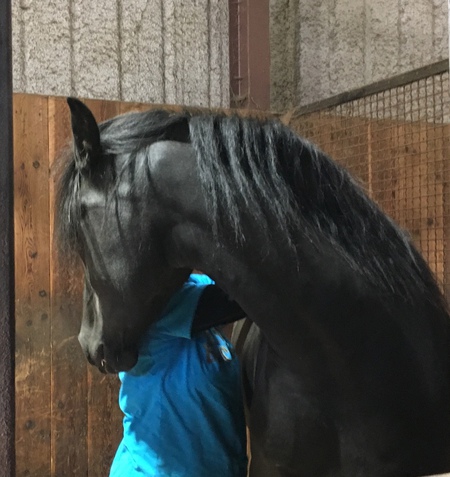 Entry image for Kashtin . Clicking this image will show a larger photo