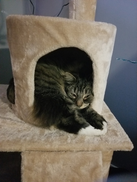 Entry image for Max. Clicking this image will show a larger photo