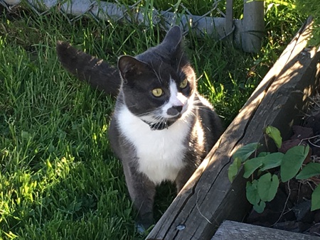 Entry image for Larry. Clicking this image will show a larger photo