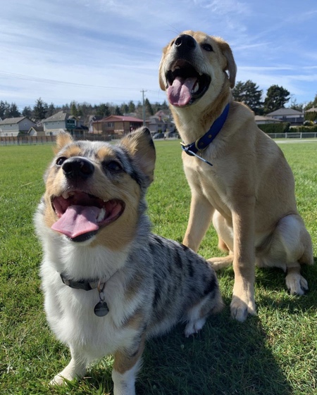 Entry image for Suki and Mac. Clicking this image will show a larger photo