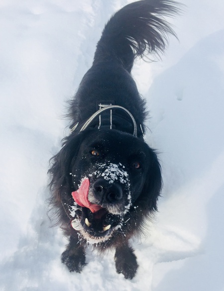 Entry image for Cash. Clicking this image will show a larger photo