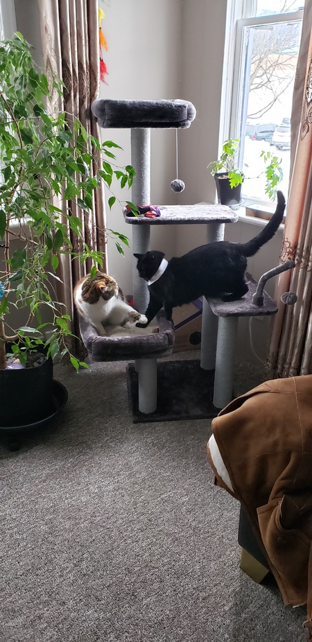 Entry image for Kali an Kron. Clicking this image will show a larger photo