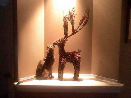 Entry image for Midnight Rambler. Clicking this image will show a larger photo